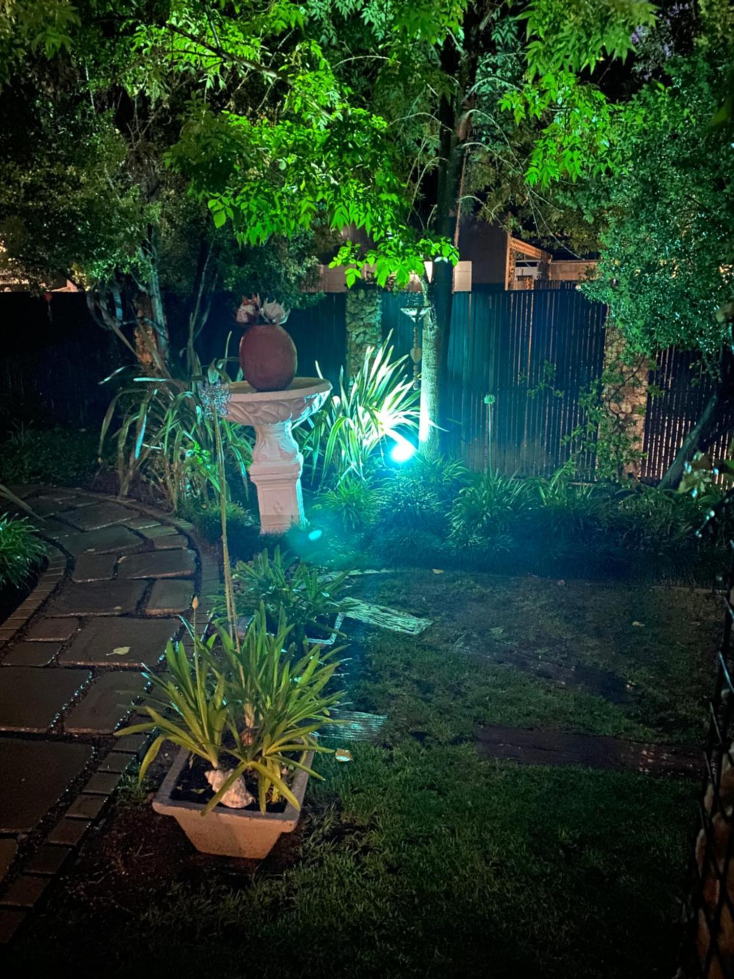 בלומפונטייין Cottonwood Guesthouse Oasis מראה חיצוני תמונה